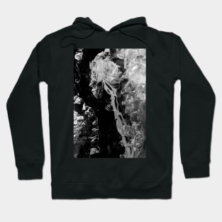 Ice Imagination Hoodie